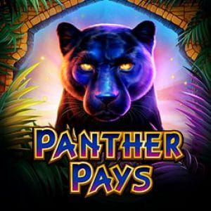 Panther Pays icon